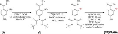 Infection-specific PET imaging with 18F-fluorodeoxysorbitol and 2-[18F]F-ρ-aminobenzoic acid: An extended diagnostic tool for bacterial and fungal diseases